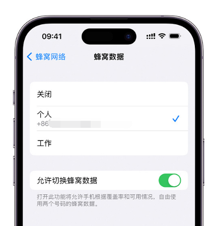 港口镇苹果维修服务分享如何在iPhone上使用双卡 